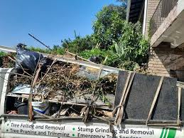 Best Property Management Cleanouts  in Wilburton, OK